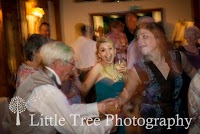 Little Tree Wedding Photography 1093078 Image 6